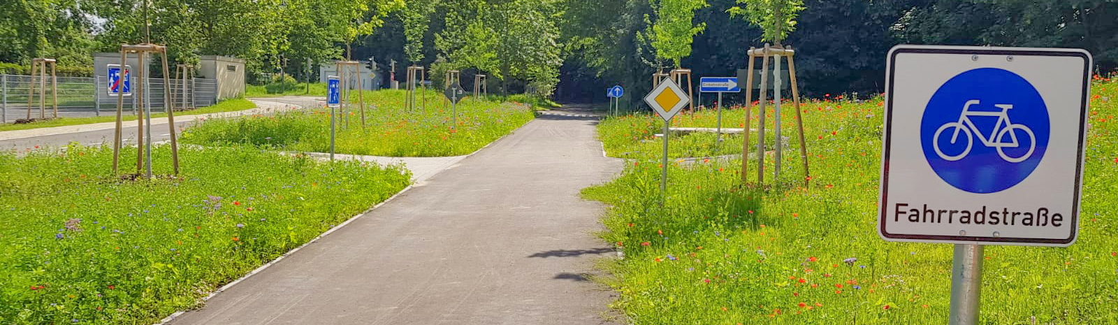 Fertiggestellte Fahrradstraße mit Asphaltbelag und Verkehrszeichen