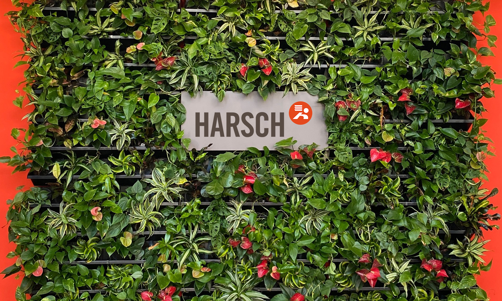 Logo auf einer begrünten Pflanzenwand